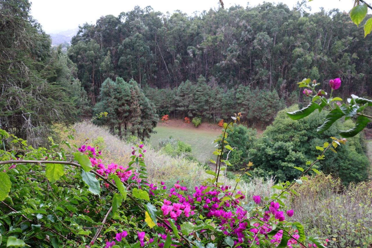 Duplex De Invitados En Medio Del Bosque Holiday home Firgas