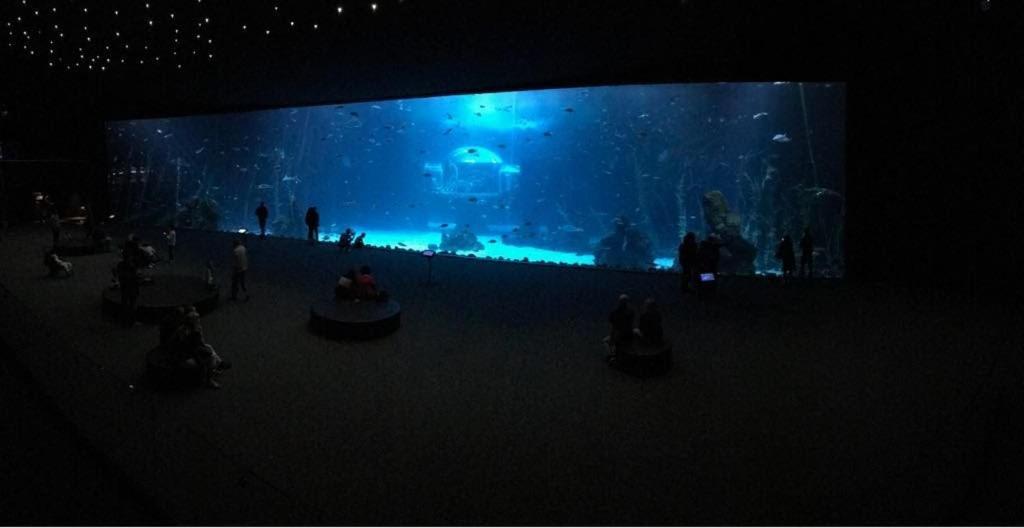 Appartamento Canteras Aquarium *