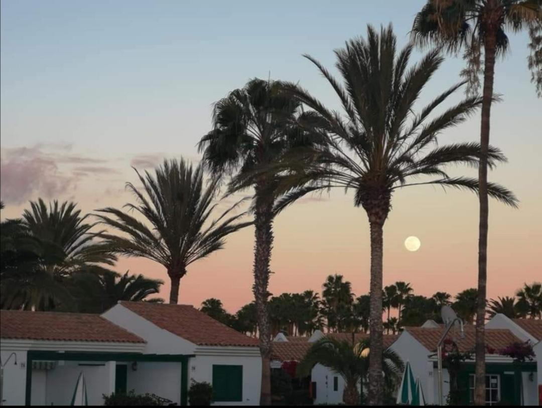 Maspalomas Casa La Loba * Maspalomas (Gran Canaria)