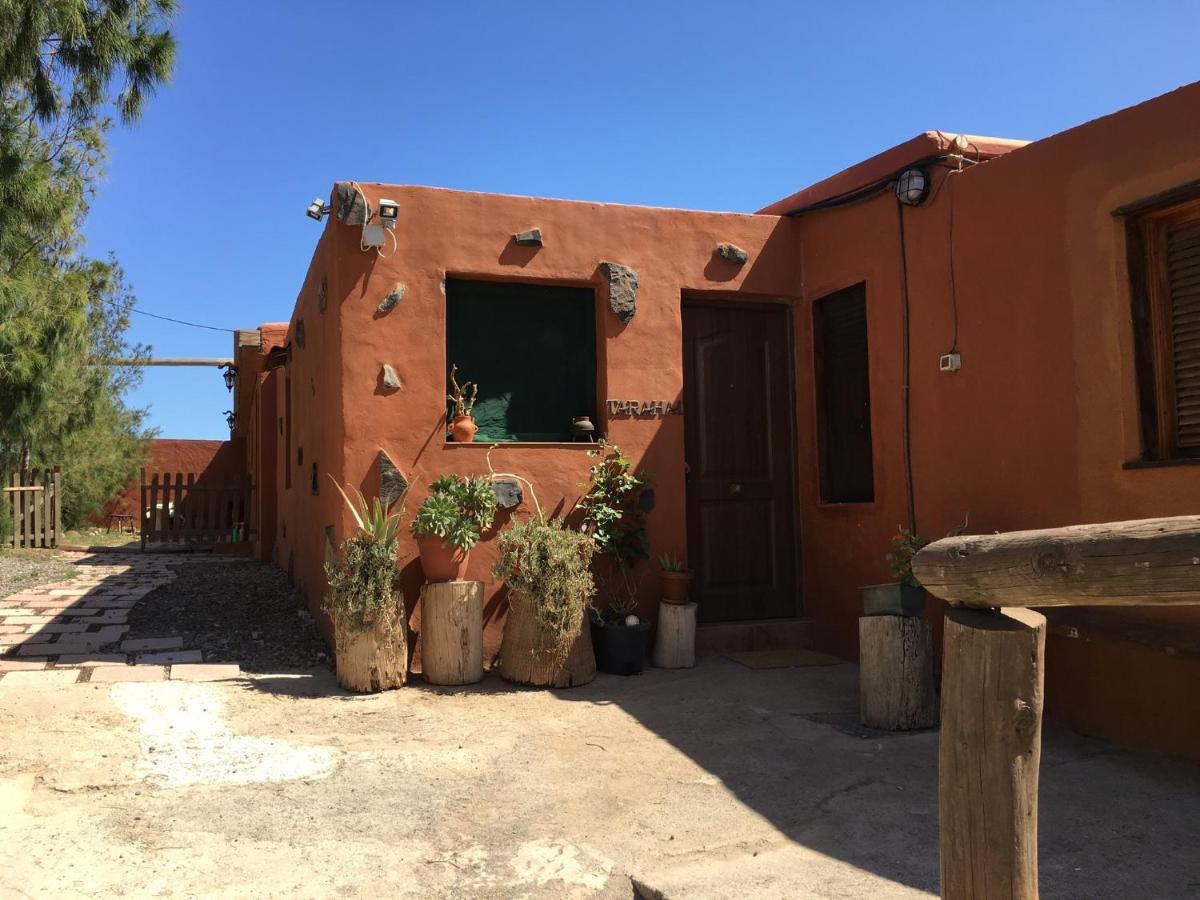 Guest house Country La Manigua
