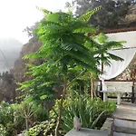 La Cueva De Angel B&B