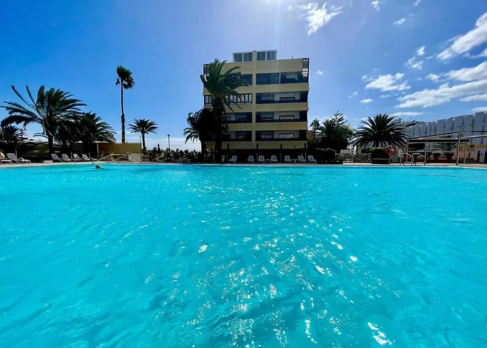Golden Palm Tree Apartment