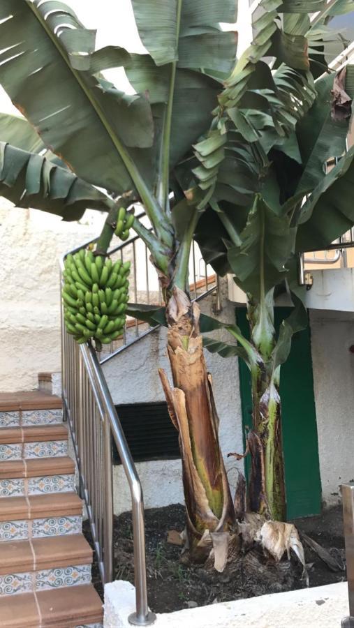 In The Heart Of Playa Del Inglés
