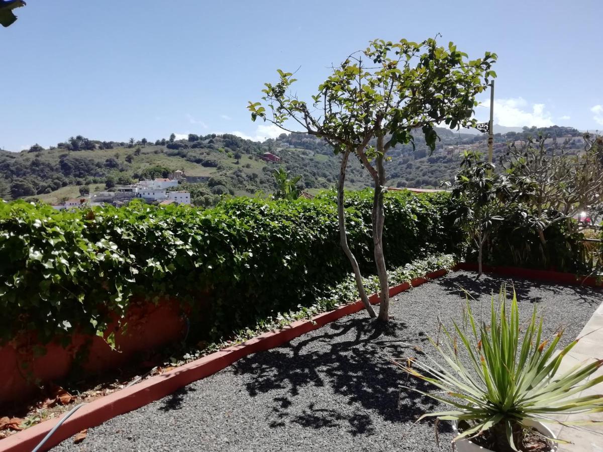 Lemmon Tree Apartamento