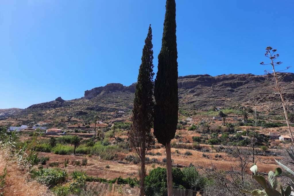 Cipreses. Cercados De Arana Holiday home San Bartolome de Tirajana (Gran Canaria)