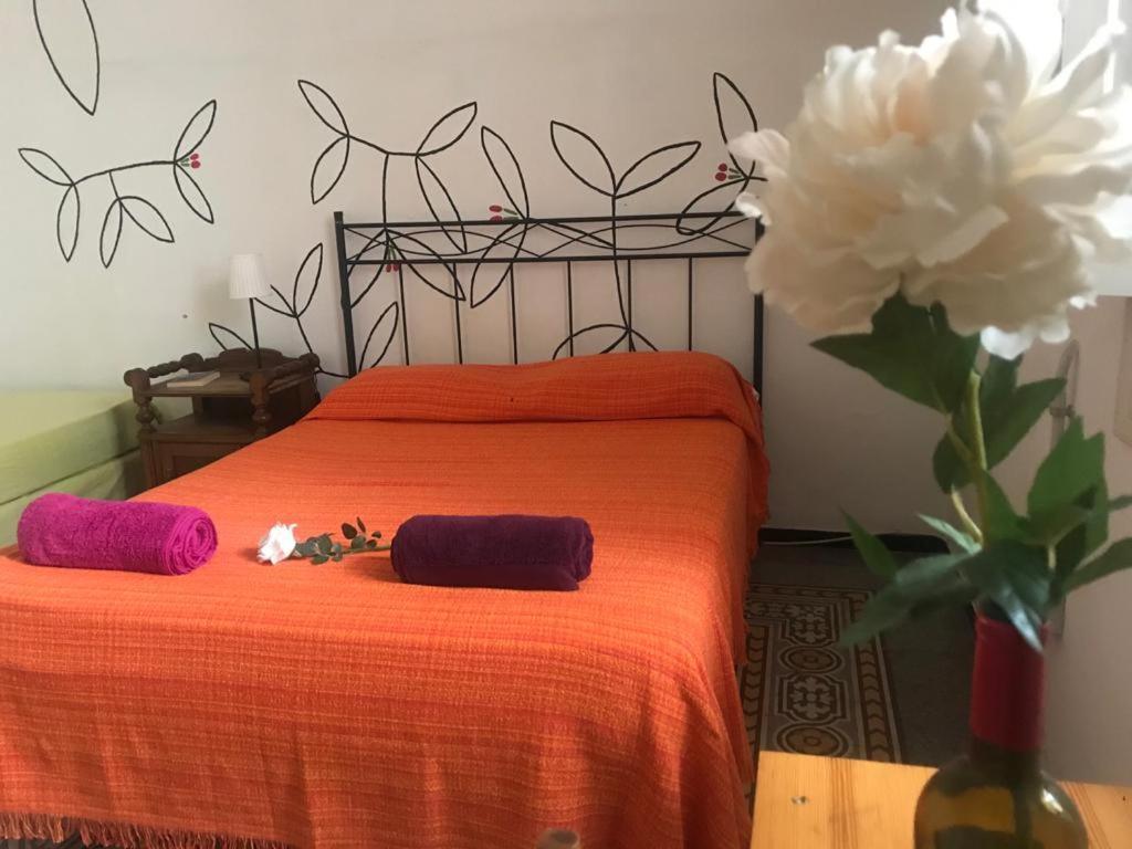 Affittacamere Mahalo Healthy House Las Palmas de Gran Canaria