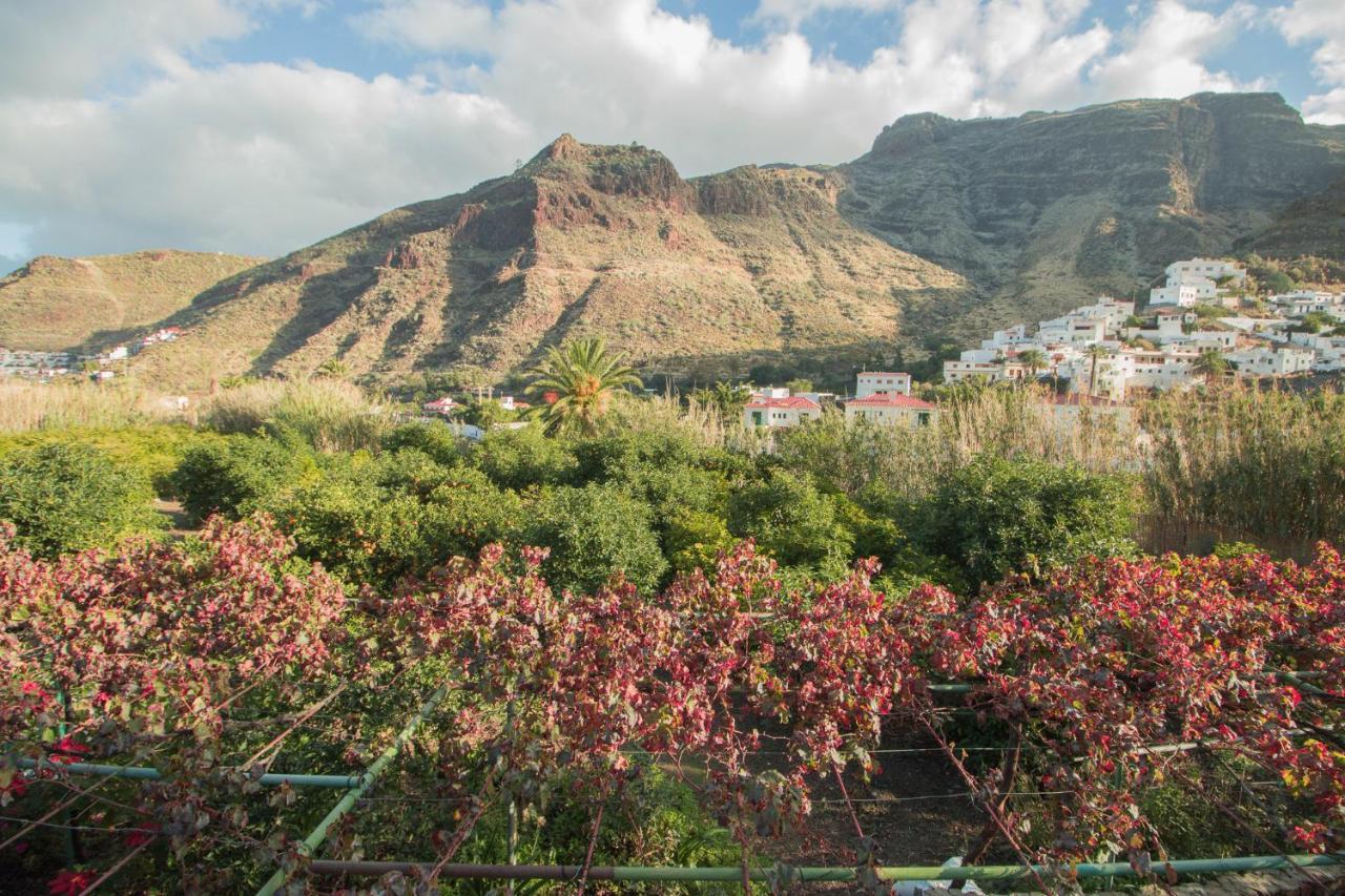 Finca Los Castaños San Pedro (Gran Canaria)