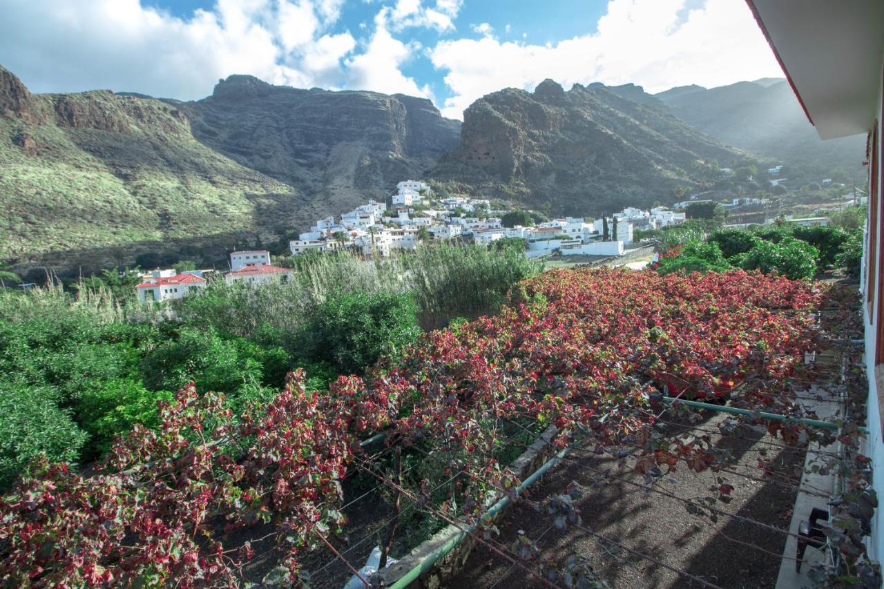 Finca Los Castaños San Pedro (Gran Canaria)