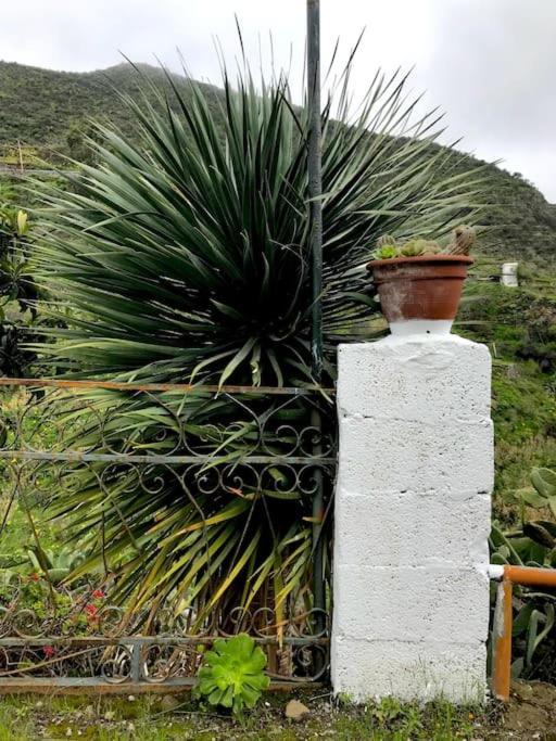 La Cueva Del Drago Сasa de vacaciones Las Palmas de Gran Canaria