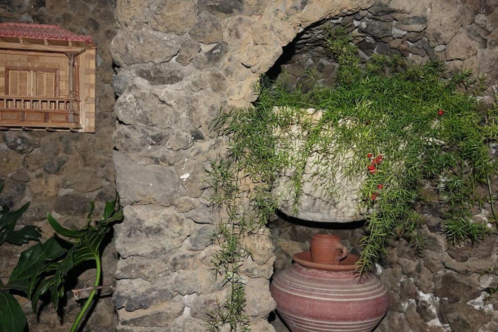 Сasa de vacaciones La Cueva Del Drago *