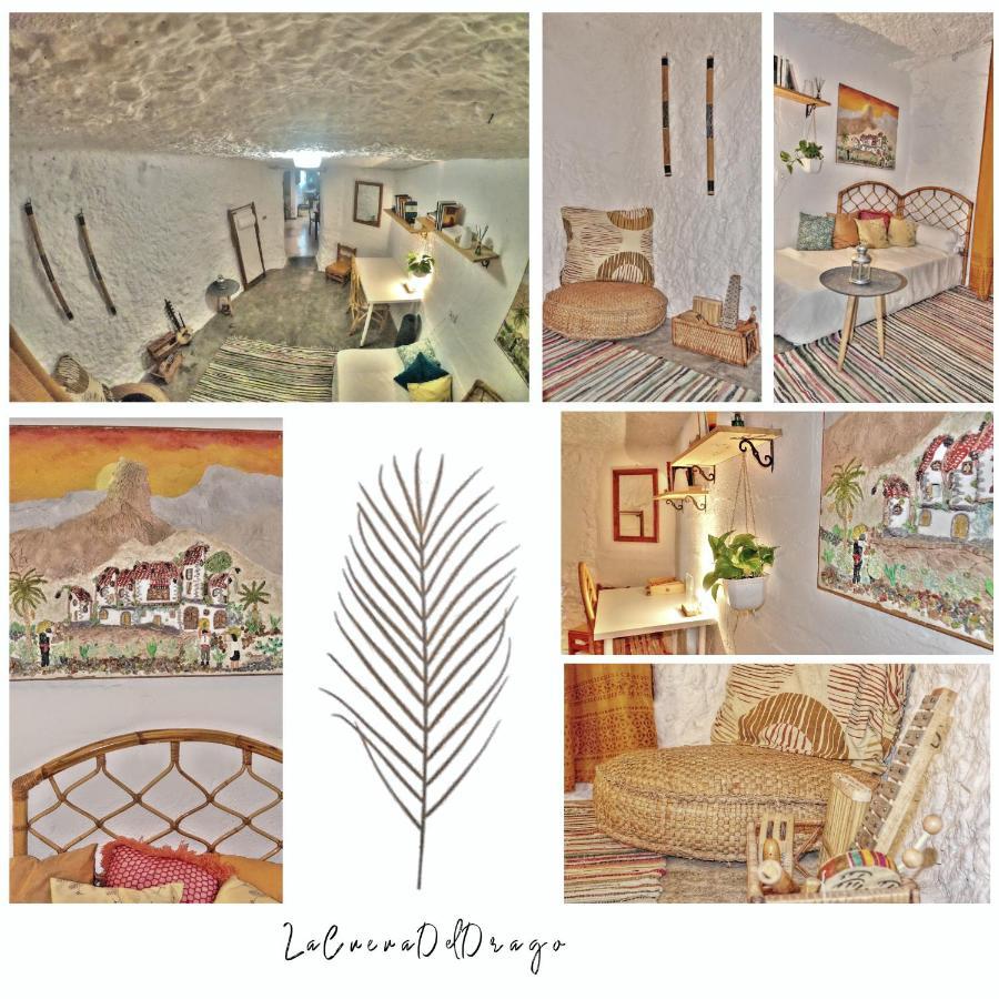La Cueva Del Drago * Las Palmas de Gran Canaria