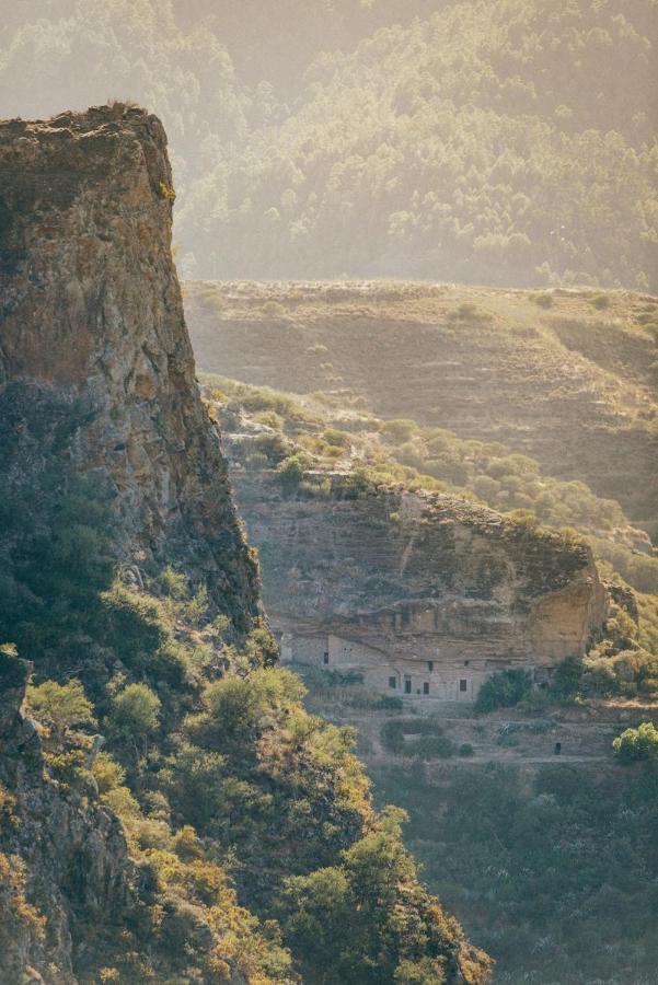 Сasa de vacaciones La Cueva Del Drago