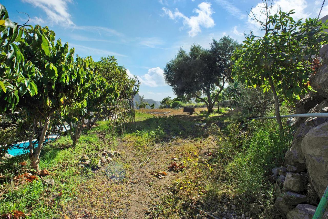 Casa Cactus * Mogán