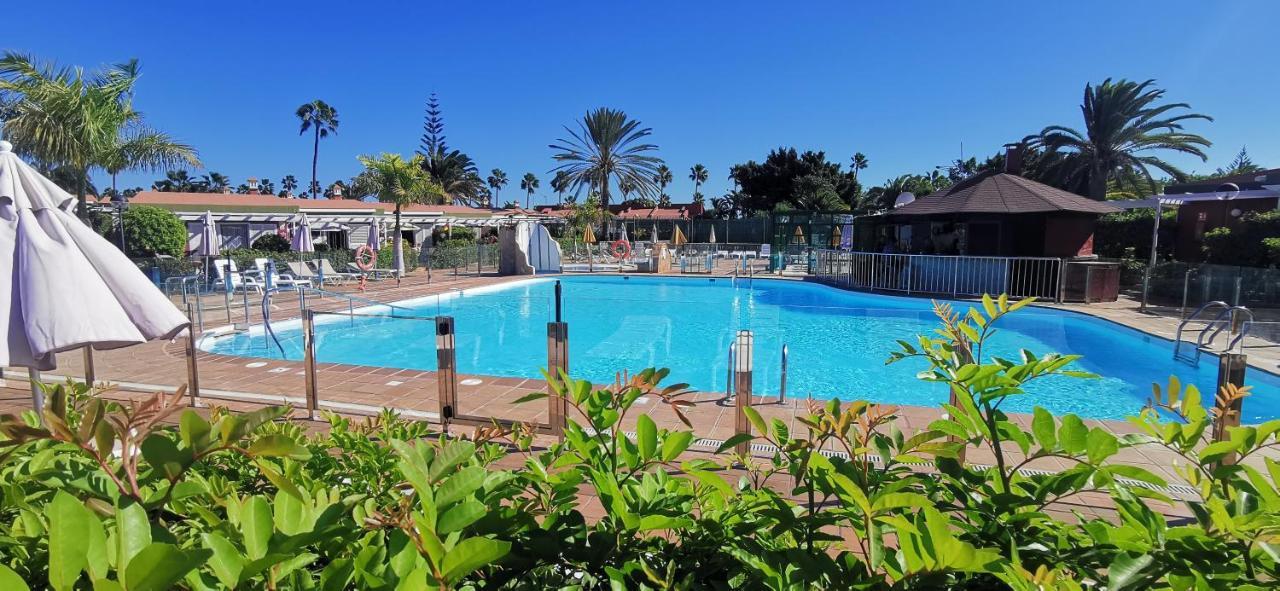 En Maspalomas (Gran Canaria)