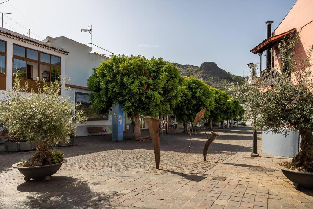 Apartamento En El Casco Historico De San Mateo
