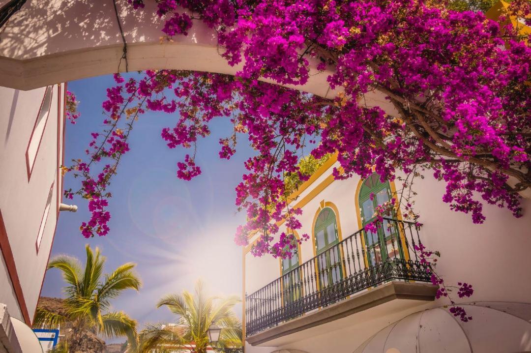 20 Metres From The Sea In Puerto De Mogan
