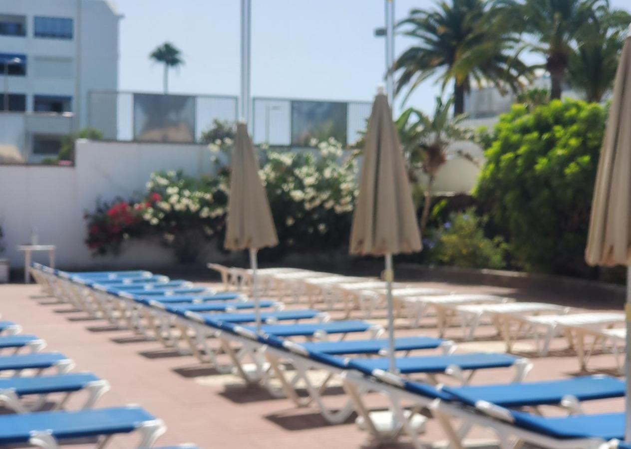Apartamento Camelias - Exclusive *