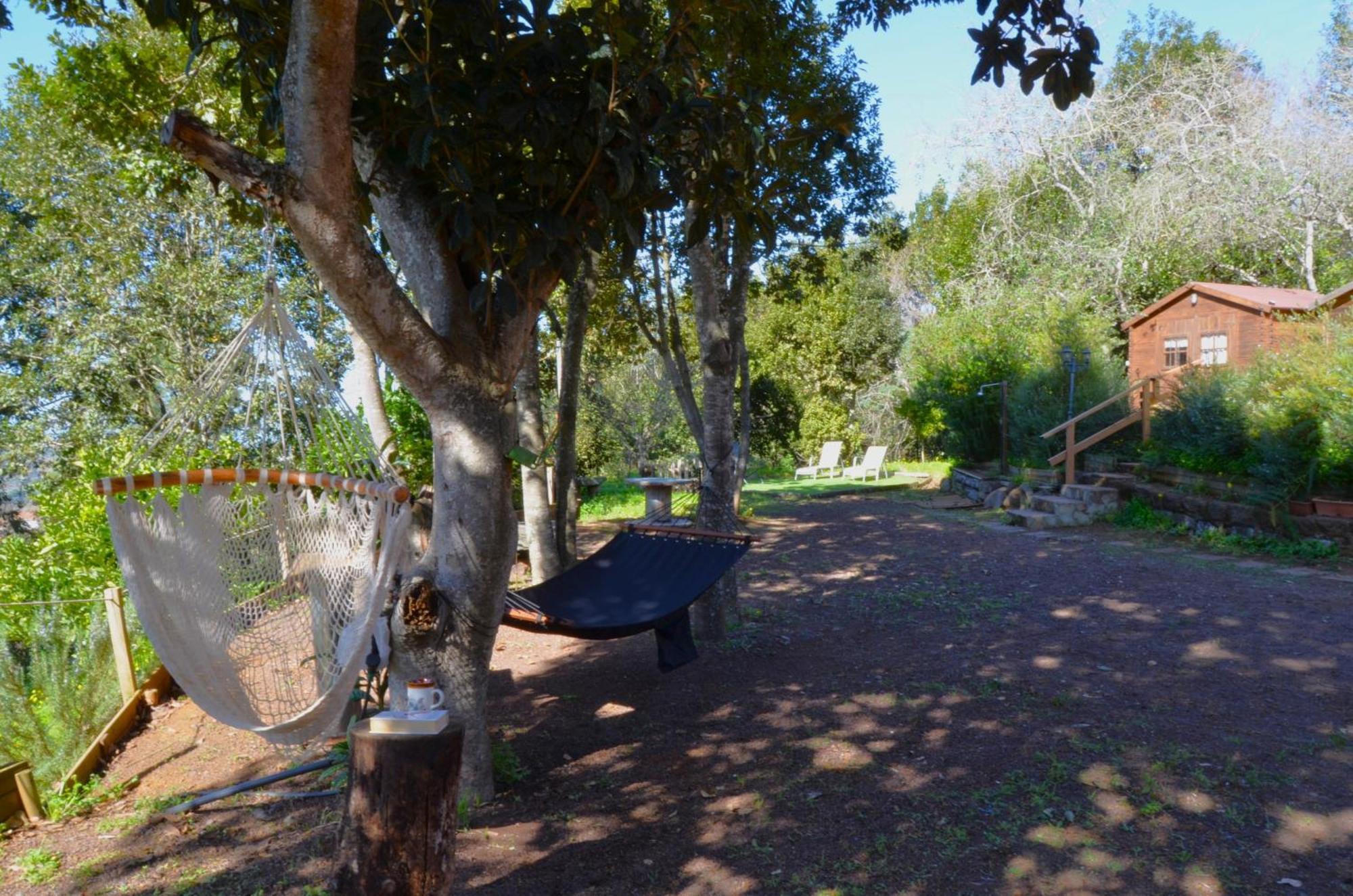 Sombra Del Laurel Holiday home
