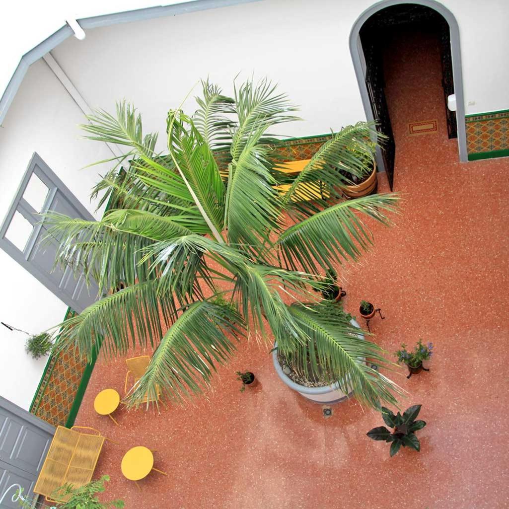 Coliving 1907 * Las Palmas de Gran Canaria