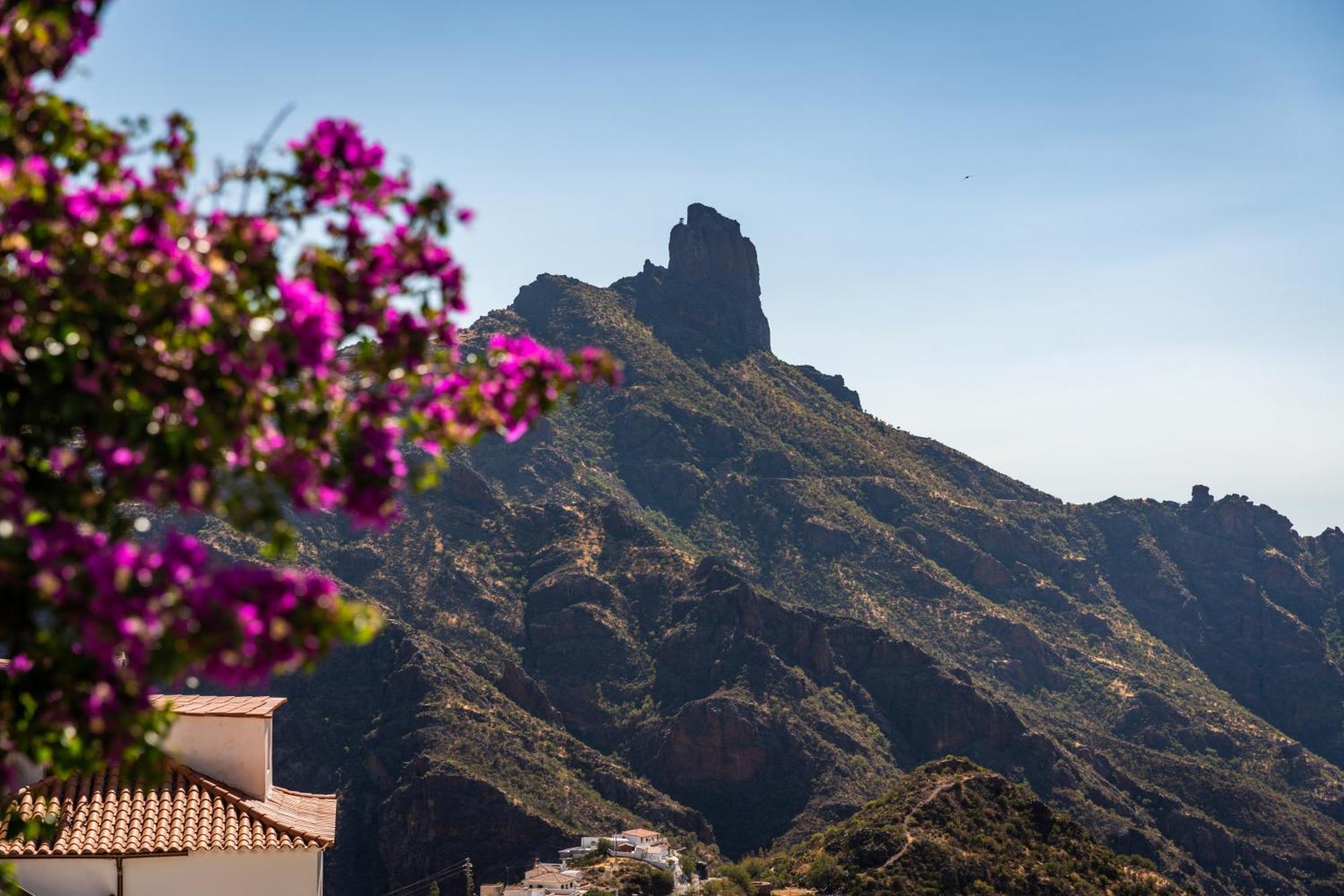Vivelorural Casa Pepe Vistas A La Montana, Tejeda * Tejeda (Gran Canaria)