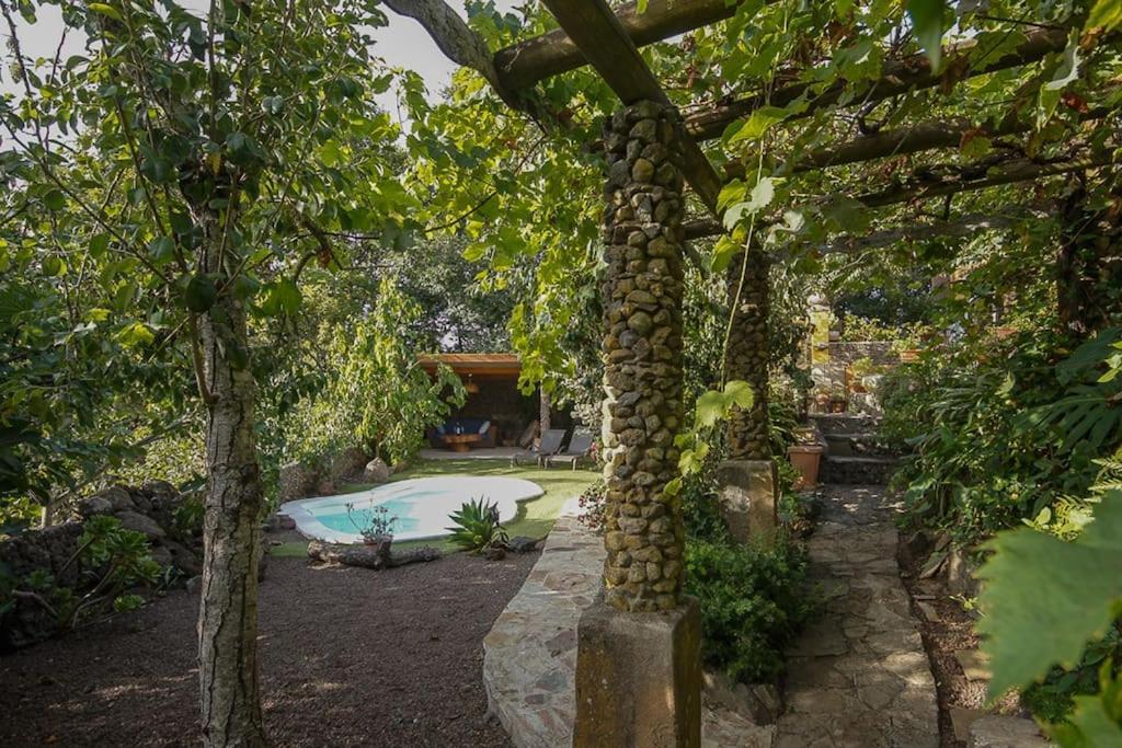Matos, Canarian House In