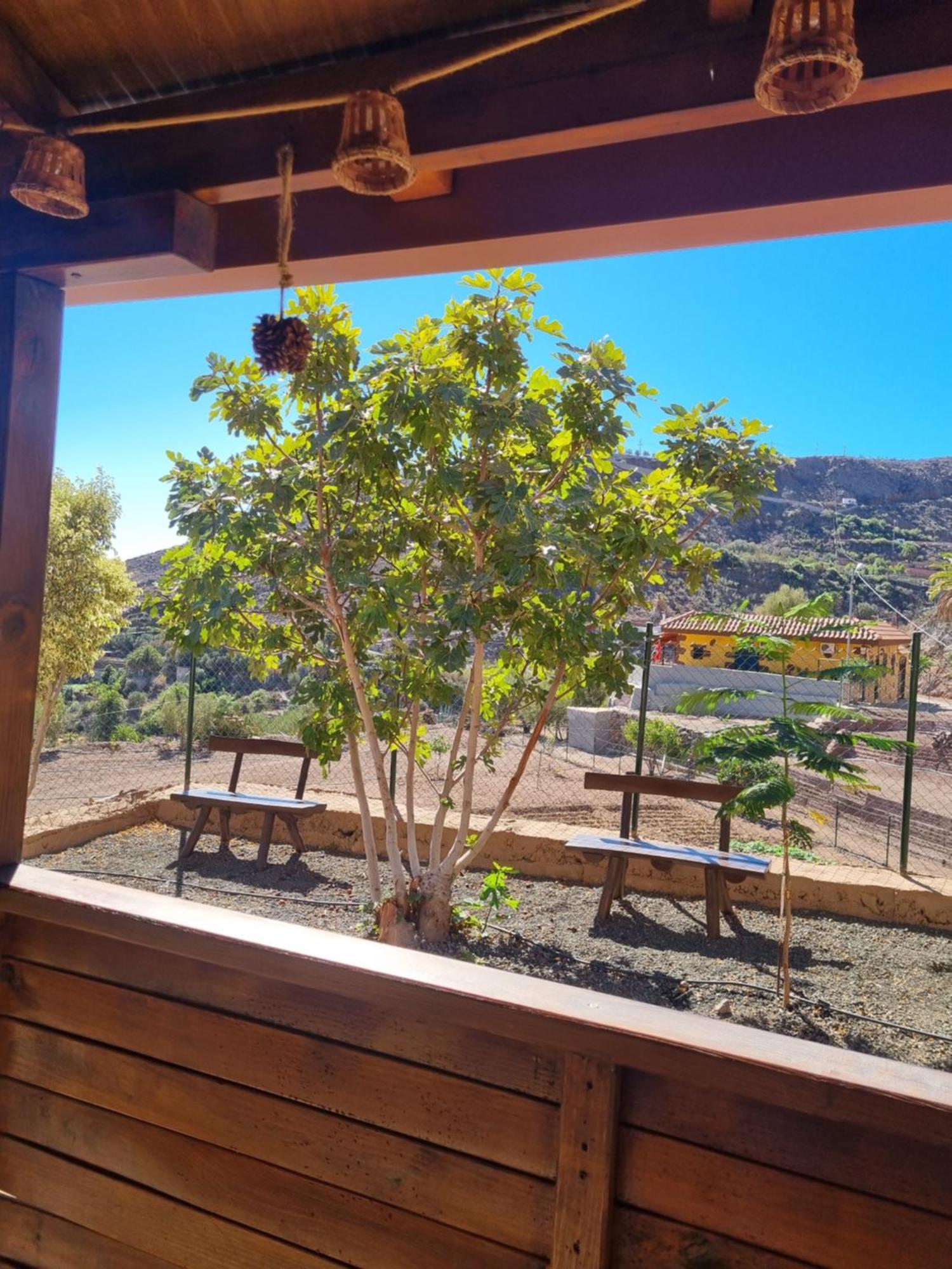 Casa Pablito Chalet San Bartolome de Tirajana (Gran Canaria)