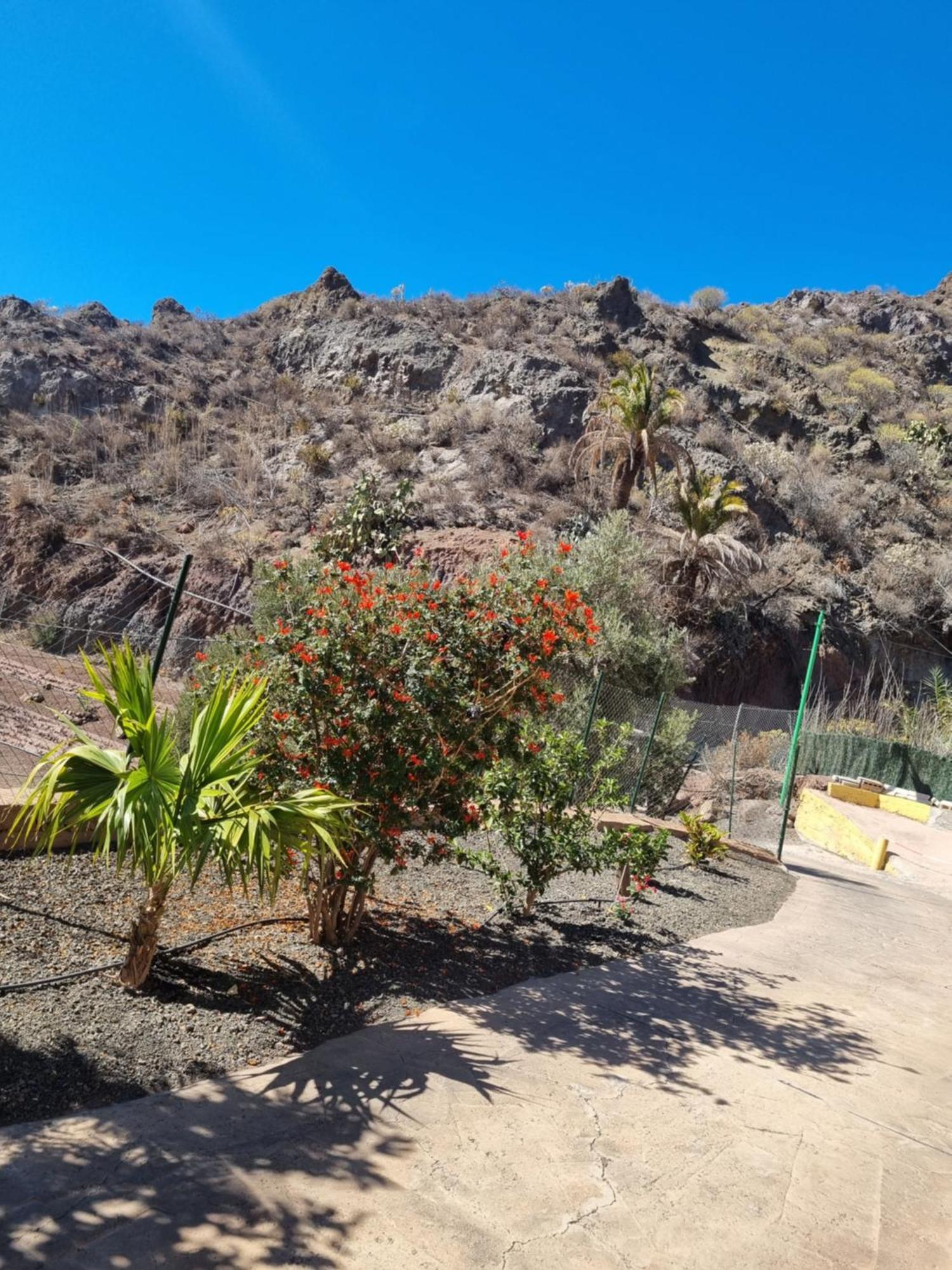 Chalet Casa Pablito San Bartolome de Tirajana (Gran Canaria)