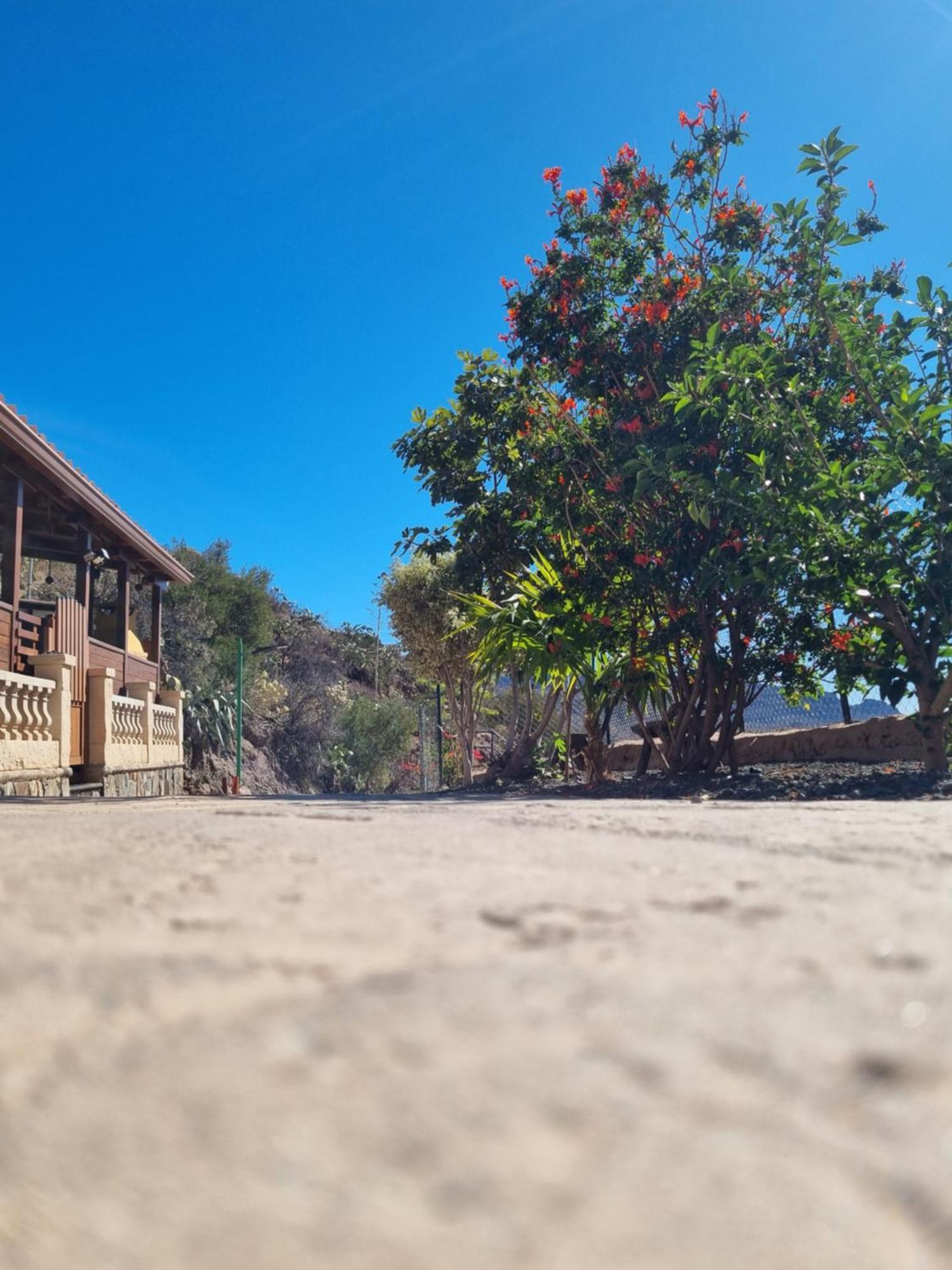 Chalet Casa Pablito San Bartolome de Tirajana (Gran Canaria)