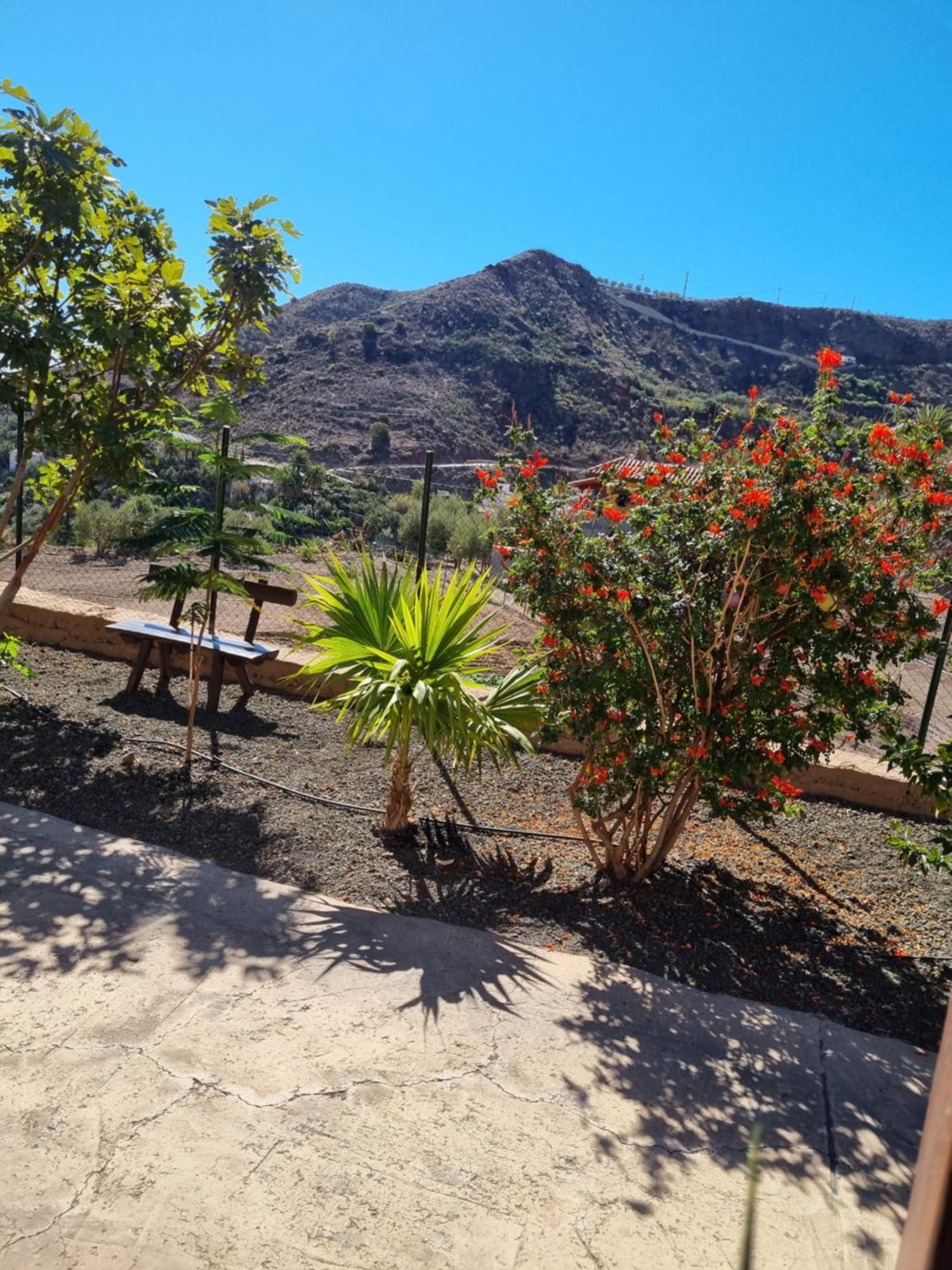 Casa Pablito * San Bartolome de Tirajana (Gran Canaria)