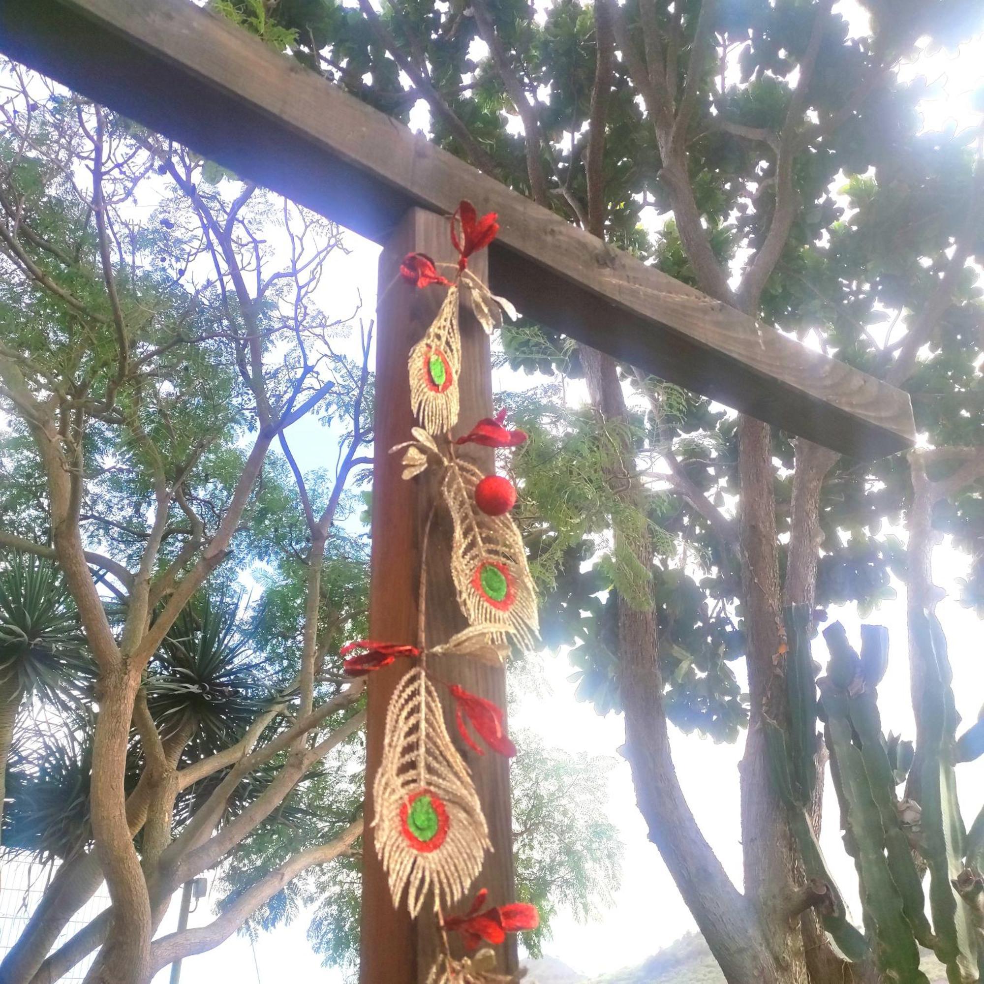 Lemmon Tree