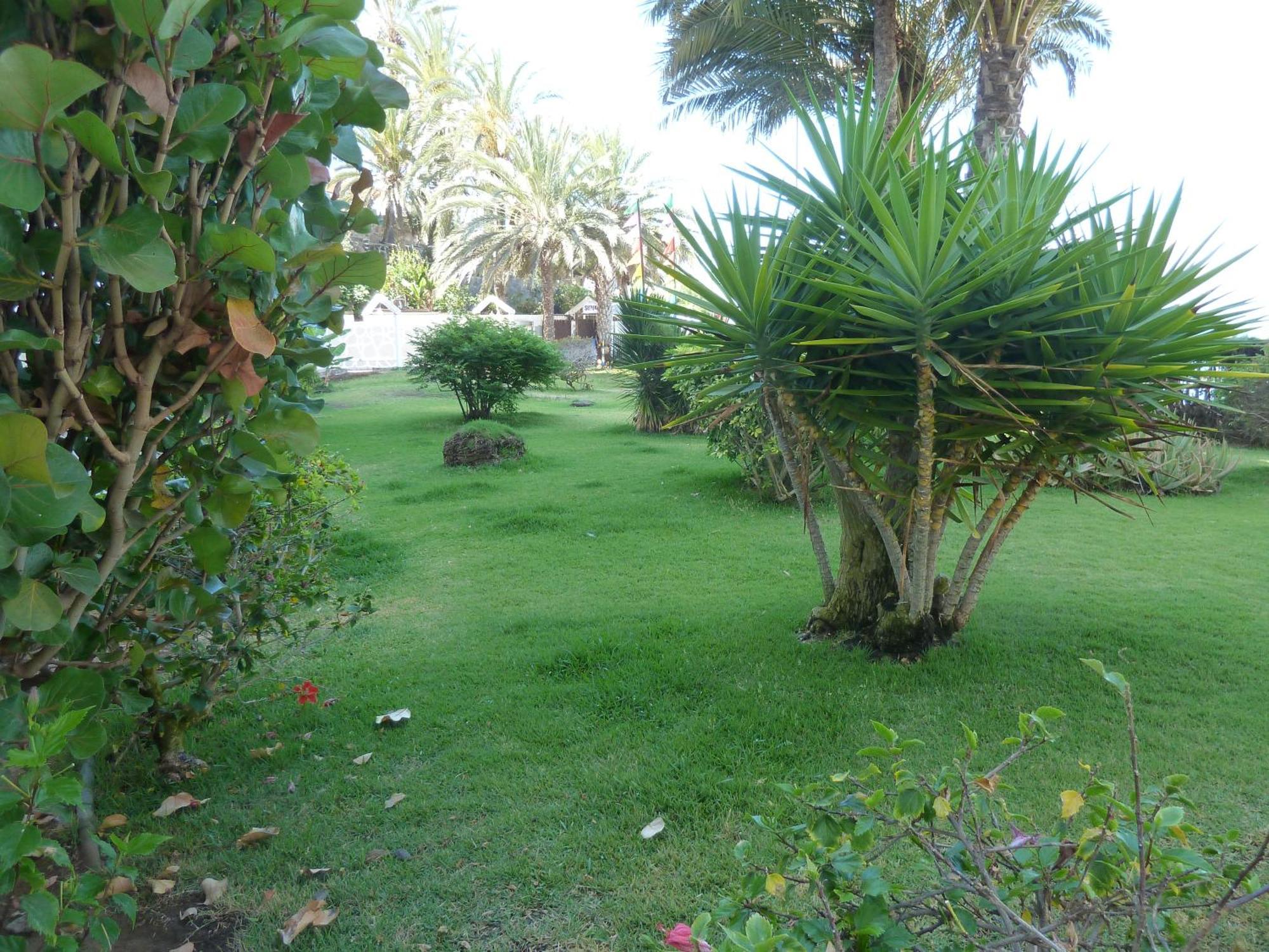 Beach Apartment Arguineguin