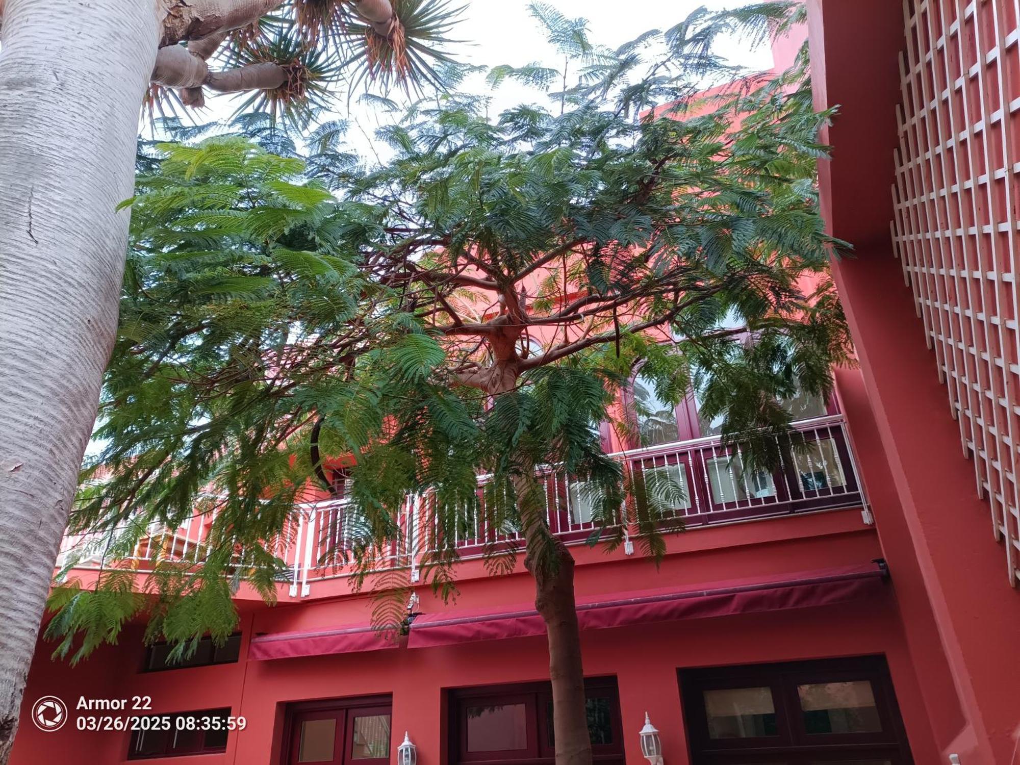 Hacienda Clara Santiago * Gáldar