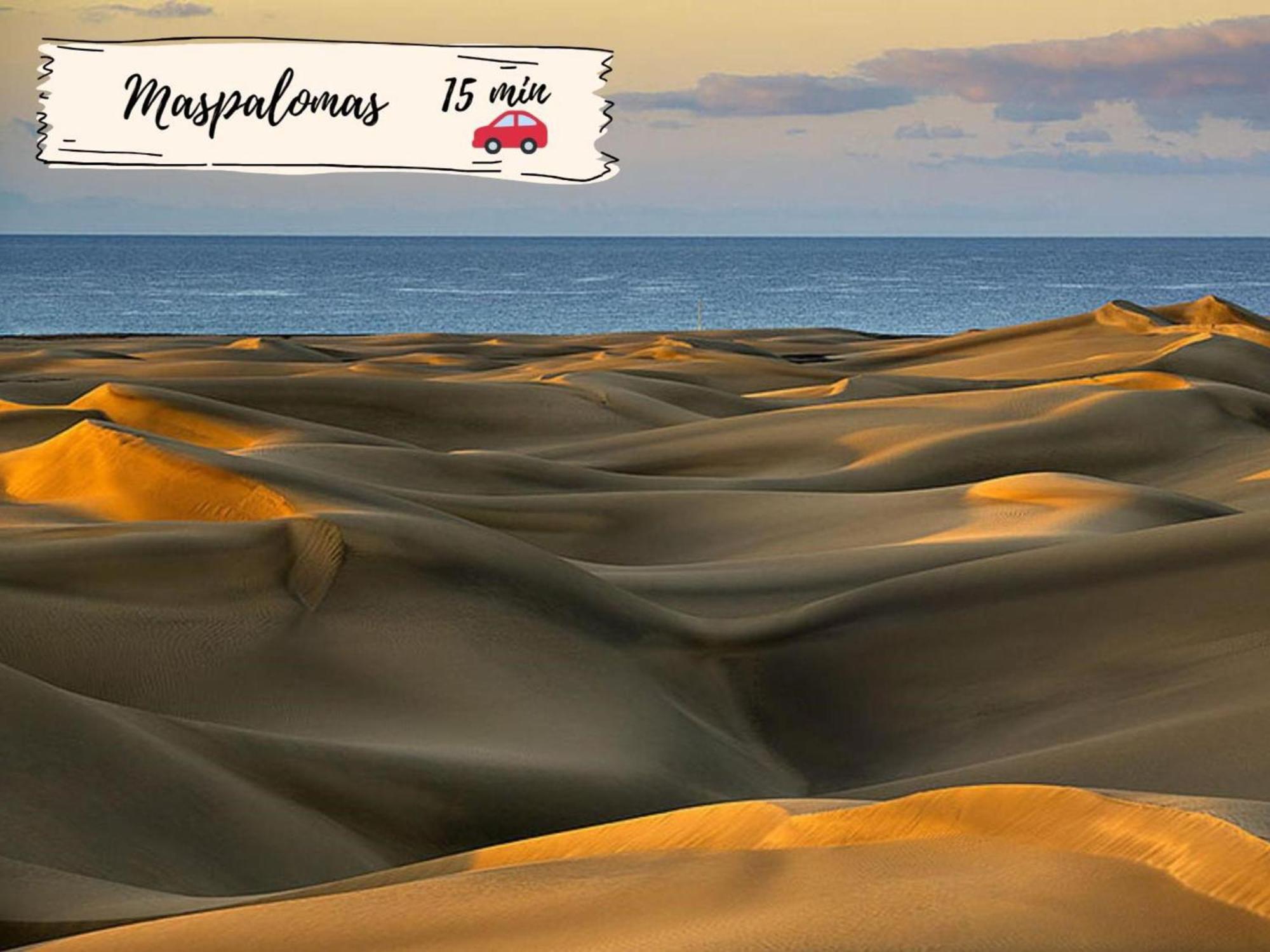 Dragos 6 By Villagrancanaria *
