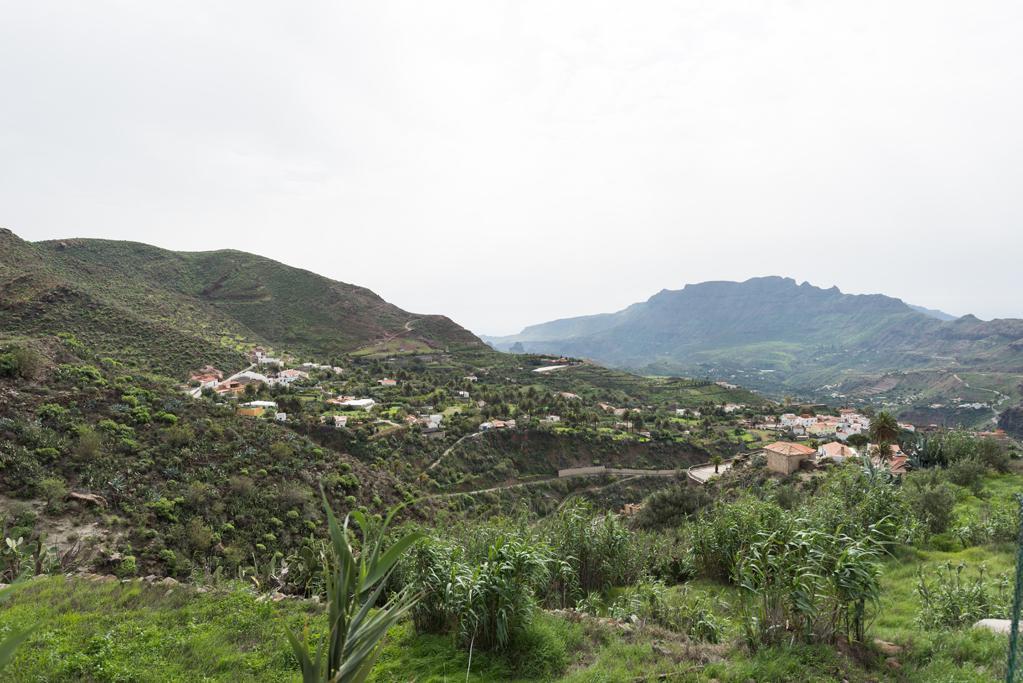 Lomito De Taidia Casa di campagna Risco Blanco