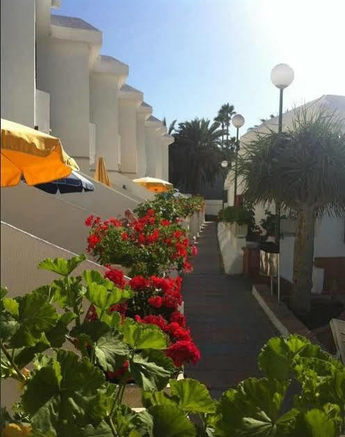 Niza 2* Puerto Rico (Gran Canaria)