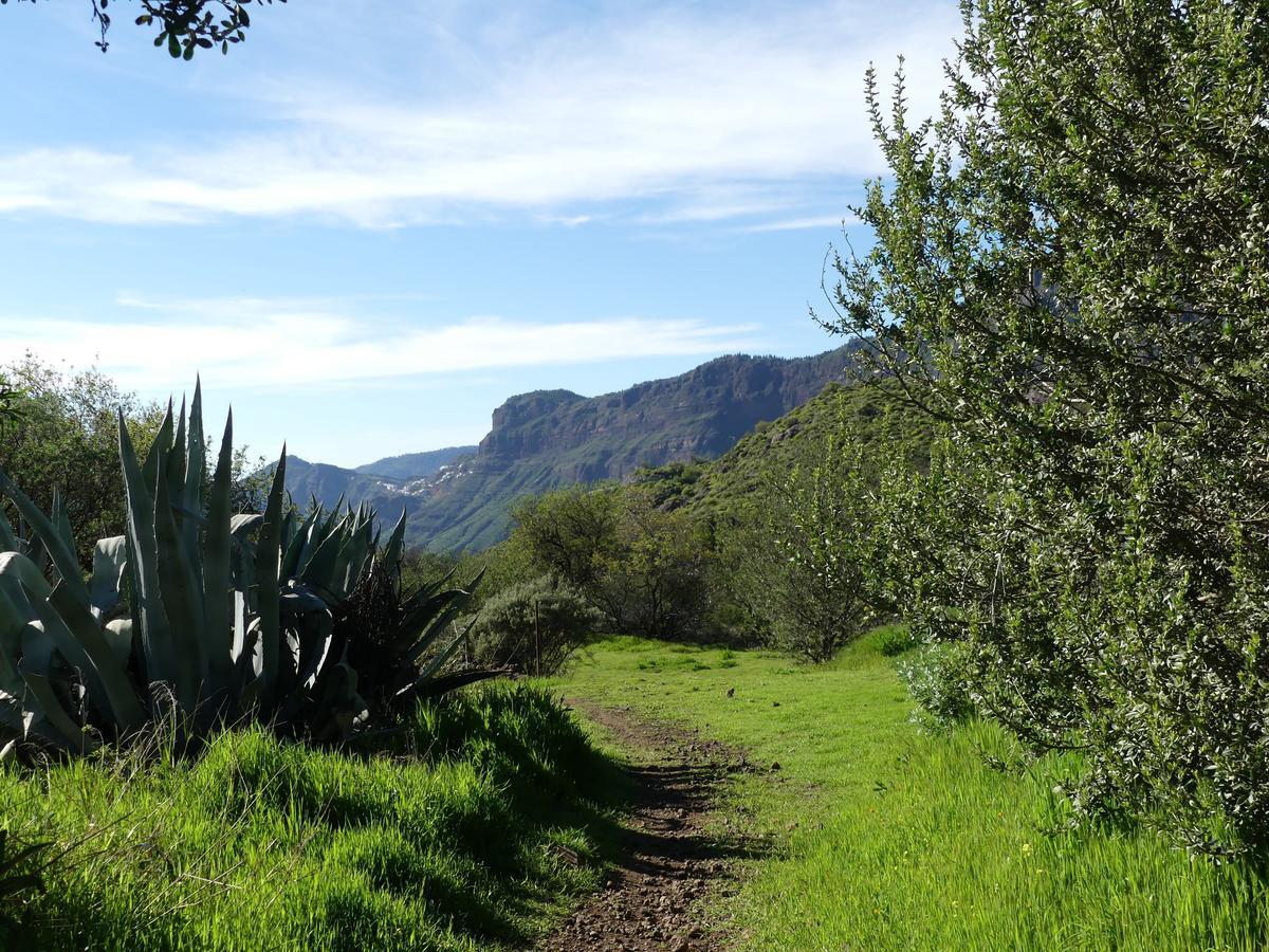 Mountain La Isa Tejeda (Gran Canaria)
