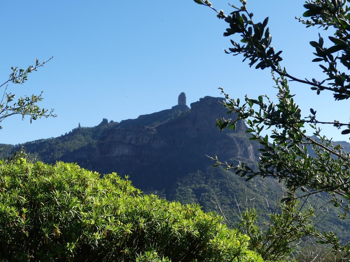 Mountain La Isa Ostello Tejeda (Gran Canaria)