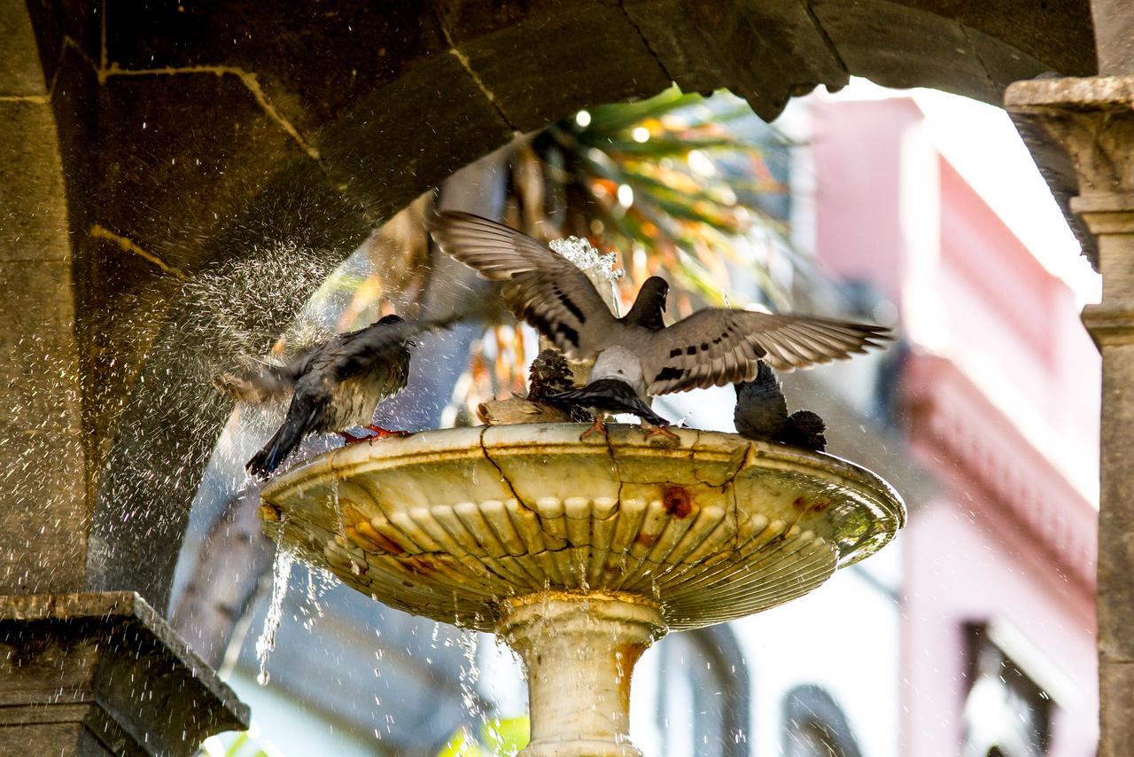Aminta 3* Las Palmas de Gran Canaria