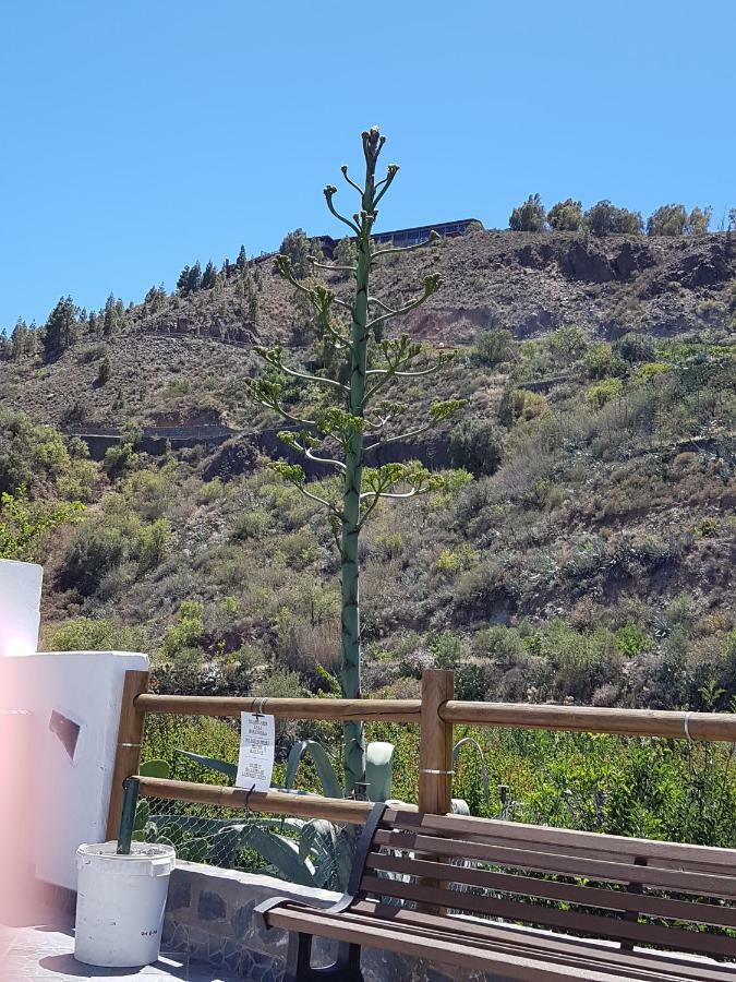 Casa vacanze La Hoyita De Tunte San Bartolomé