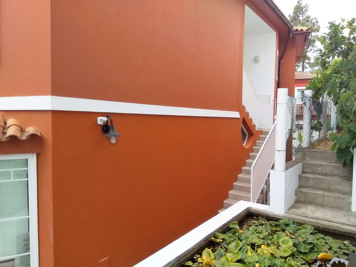 Lemmon Tree Apartamento *