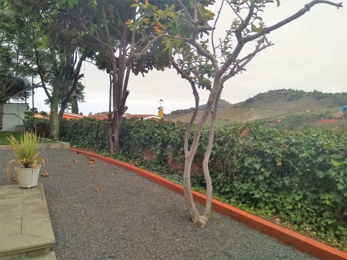 Apartamento Lemmon Tree Santa Brígida