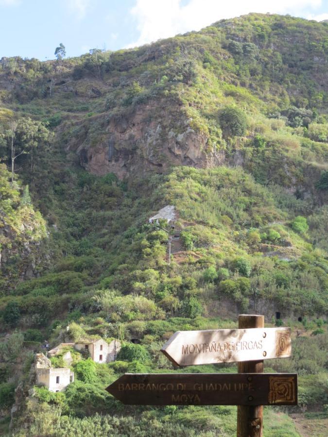 La Cueva De Angel Firgas