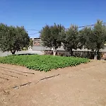La Casita del Naranjo