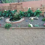 La Casita del Naranjo