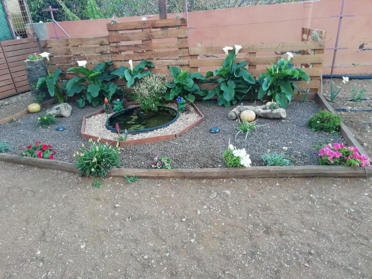 Сasa de vacaciones La Casita Del Naranjo