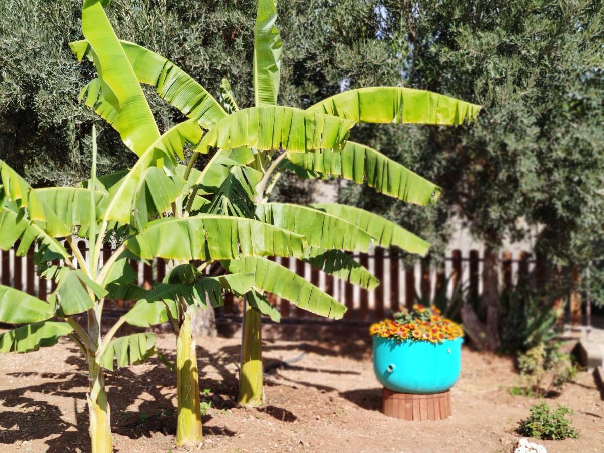 La Casita Del Naranjo Сasa de vacaciones
