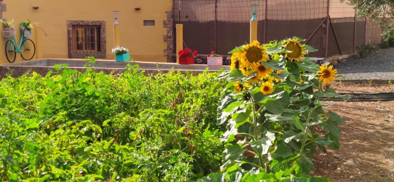 La Casita Del Naranjo Сasa de vacaciones Agüimes