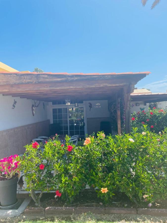 Holiday home Casa Tirma 13 Playa del Ingles (Gran Canaria)
