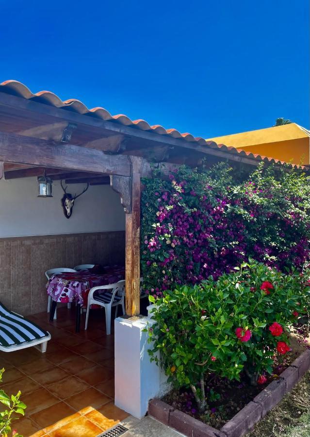 Casa Tirma 13 *