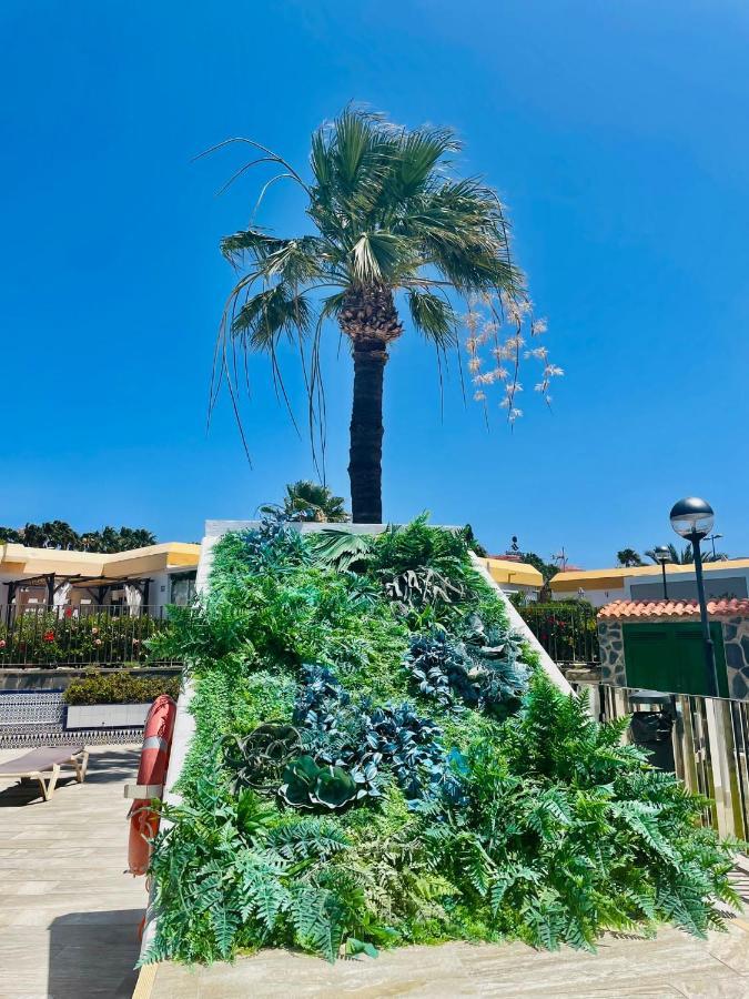 Casa Tirma 13 *